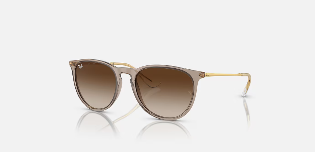 Armazón Ray Ban Ray Ban Erika Classic